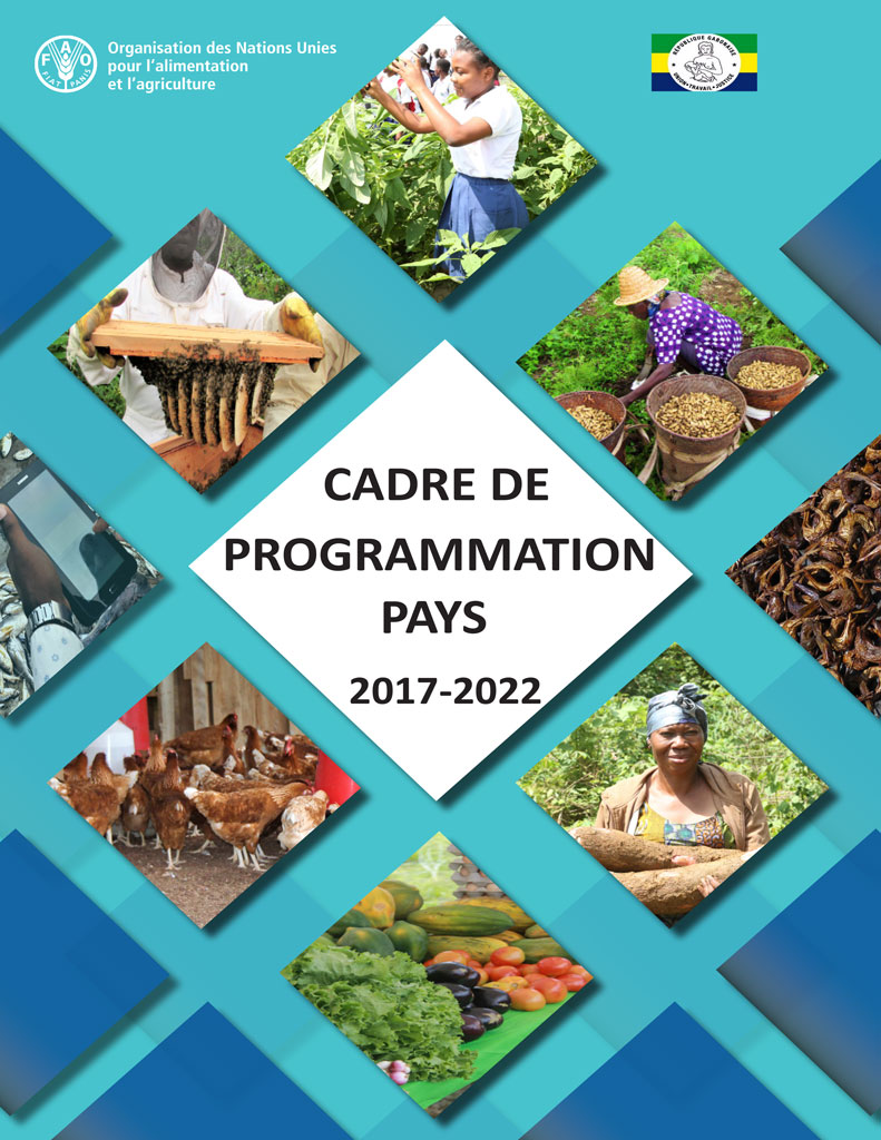 Cadre de programmation pays 2017 - 2022