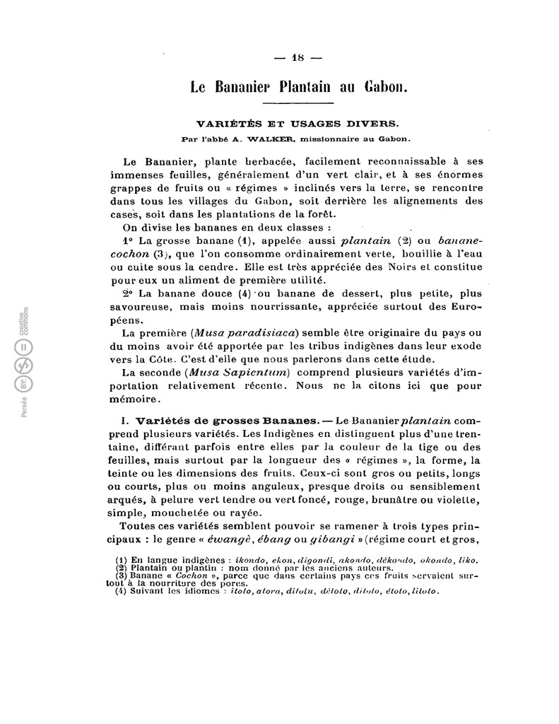 Le Bananier Plantain au Gabon de l'Abbé Walker André