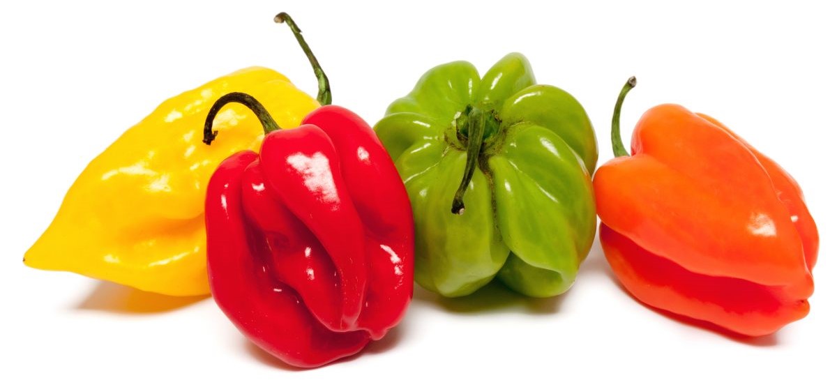 Piments