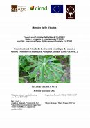 Contribution à l'étude de la diversité Génétique du manioc cultivé - CEMAC