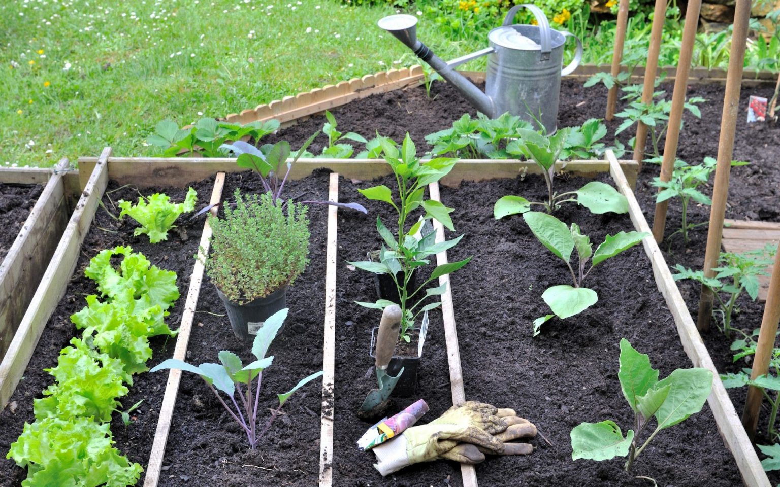 La bible du potager : la culture des légumes de A à Z