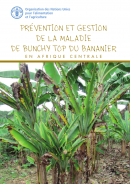 Prévention et gestion de la Maladie de Bunchy top du Bananier en Afrique centrale