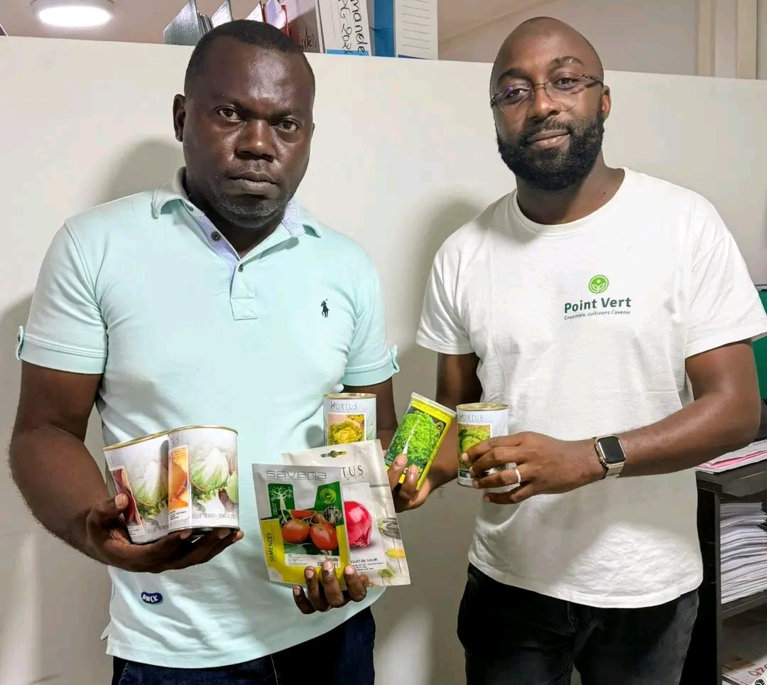 Sélection de semences maraîchères certifiées pour les pépinières de la Nyanga