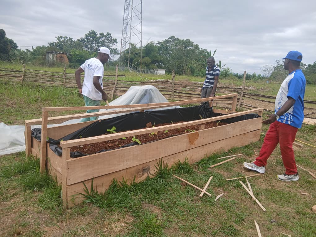 Construction d'une pépinière maraîchère surélevée bâchée dans la Nyanga