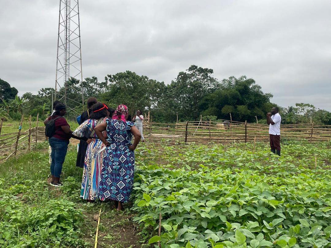Visite de terrain et échanges techniques avec les acteurs agricoles de la Nyanga